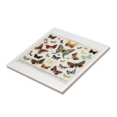 KERAMISCHE TEGEL : ANTIEK KOPSTROOM LITHOGRAAF TEGELTJE (Zijkant)