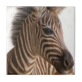 Keramische Tegel bruin Zebra Stripe Tegeltje (Voorkant)