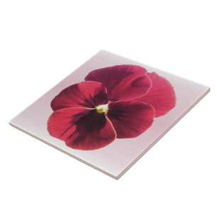 Keramische tegel - Donkerrode pansy Tegeltje