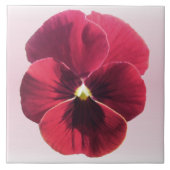 Keramische Tegel - donkerrode panty Tegeltje (Voorkant)