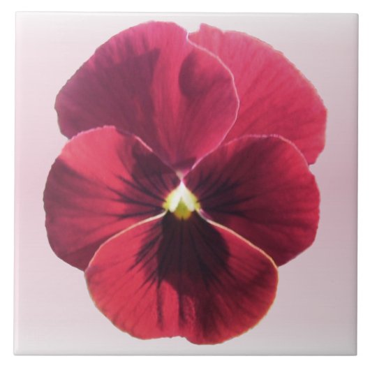 Keramische Tegel - donkerrode panty Tegeltje (Voorkant)