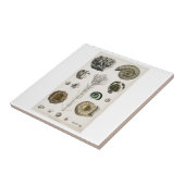 KERAMISCHE TEGEL  "FOSSILS" OLIVER GOLDSMITH TEGELTJE (Zijkant)