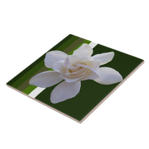 Keramische tegel - Gardenia op stripes Tegeltje