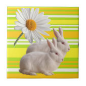 Keramische Tegel Geel-groene Daisy Stripe Rabbits Tegeltje (Voorkant)