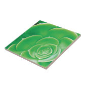 Keramische tegel - groen Succulent afvlakken Tegeltje (Zijkant)