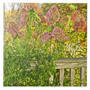 keramische tegel /"HORTENSIA'S AT WOODEN FENCE" Tegeltje