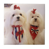 Keramische Tegel met Maltees Tegeltje (Voorkant)