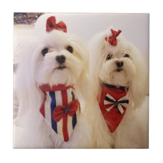 Keramische Tegel met Maltees Tegeltje