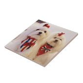 Keramische Tegel met Maltees Tegeltje (Zijkant)