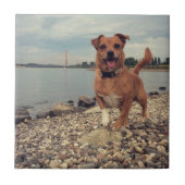 Keramische Tegel met vierkante Afbeeldingen Tegeltje (Voorkant)