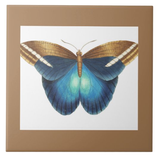 Keramische tegel met vlinder tegeltje (Voorkant)