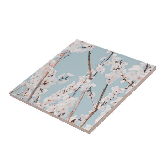 KERAMISCHE TEGEL : PLUMBLOSSOM TEGELTJE (Zijkant)