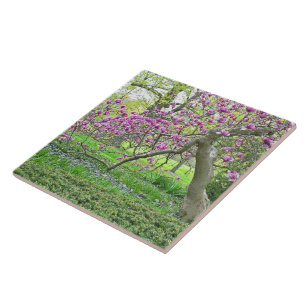 KERAMISCHE TEGEL/ROZE TULP/MAGNOLIA TREE TEGELTJE