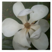 Keramische tegel - Southern Magnolia Blossom II Tegeltje (Voorkant)