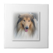 Keramische Tegel Tegeltje (Voorkant)