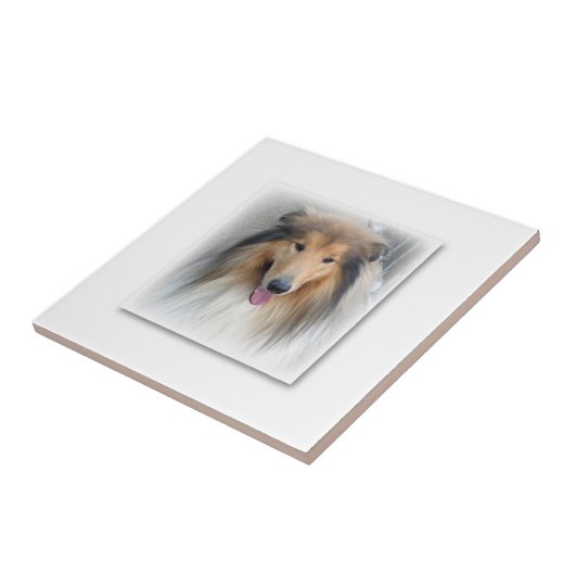 Keramische Tegel Tegeltje (Zijkant)