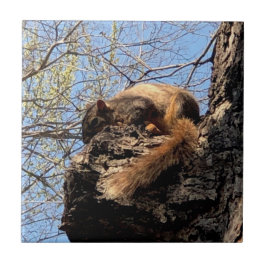 Keramische tegel tegeltje