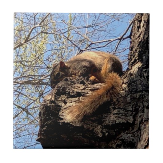 Keramische tegel tegeltje (Voorkant)