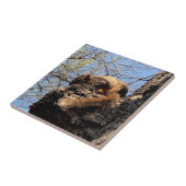 Keramische tegel tegeltje (Zijkant)