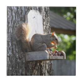 Keramische tegel tegeltje