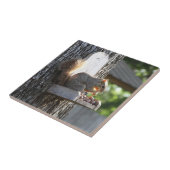 Keramische tegel tegeltje (Zijkant)