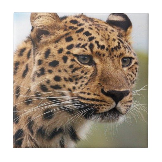 Keramische Tegel Tegeltje (Voorkant)