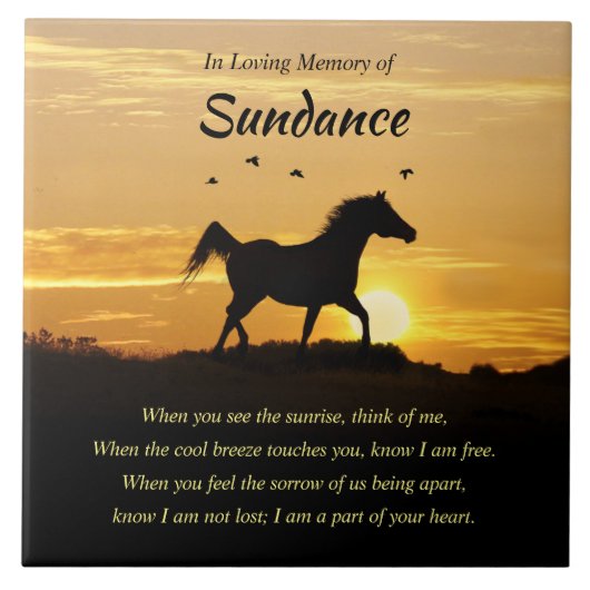 Keramische tegel tegeltje (Voorkant)