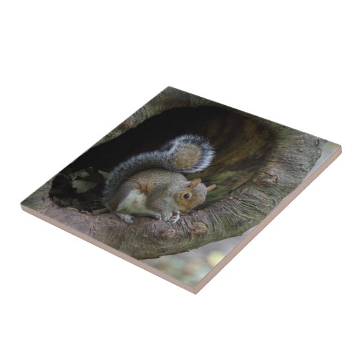 Keramische tegel tegeltje (Zijkant)