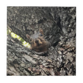 Keramische tegel tegeltje (Voorkant)