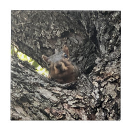 Keramische tegel tegeltje