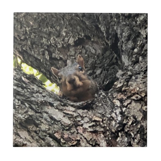 Keramische tegel tegeltje (Voorkant)