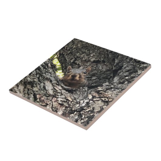 Keramische tegel tegeltje (Zijkant)