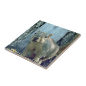 Keramische tegel tegeltje (Zijkant)