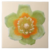 Keramische Tegel - Tulp Populip Tulp op Cream Tegeltje (Voorkant)