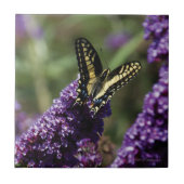 Keramische tegel - vlinder op paarse bloemen tegeltje (Voorkant)