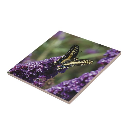Keramische tegel - vlinder op paarse bloemen tegeltje (Zijkant)