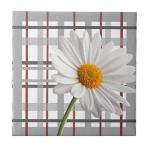 Keramische Tegel White Daisy Floral Tegeltje