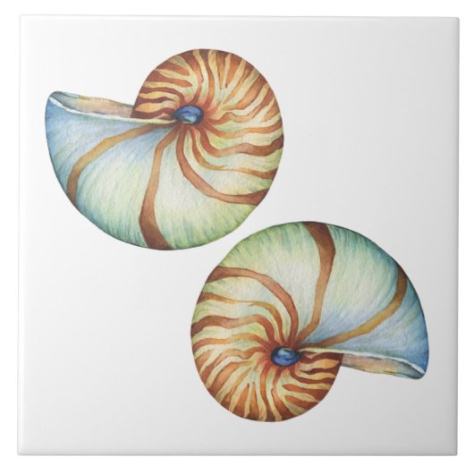 Keramische tegel - zeeschelpen tegeltje (Voorkant)