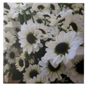 Keramische Tegel - Zwart & Wit Daisy Tegeltje