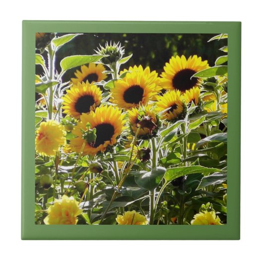 Keramische tegels kunnen worden gebruikt als onder tegeltje (Voorkant)