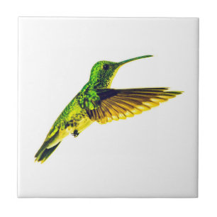 Keramische tegels met een ontwerp voor een kolibri tegeltje