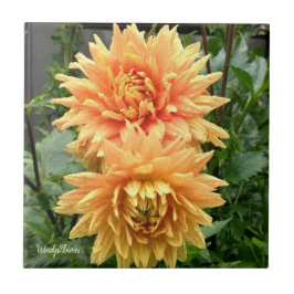 Keramische tegels met oranje dahlia's met regendru tegeltje