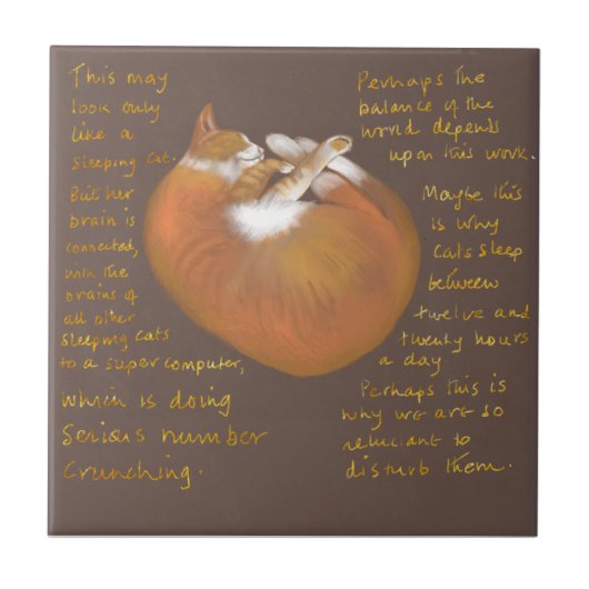 Keramische tegels met slaapkat tegeltje (Voorkant)