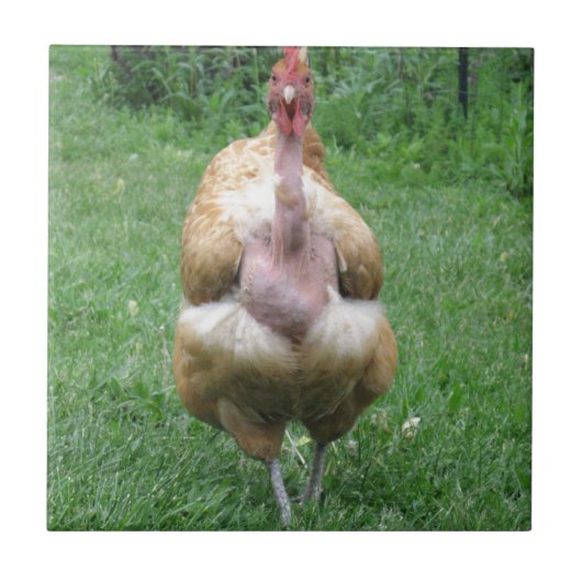 Keramische tegels met Turken Hen Tegeltje (Voorkant)