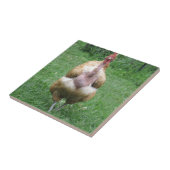 Keramische tegels met Turken Hen Tegeltje (Zijkant)