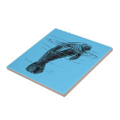 Keramische tegels, n.e.g. tegeltje (Zijkant)