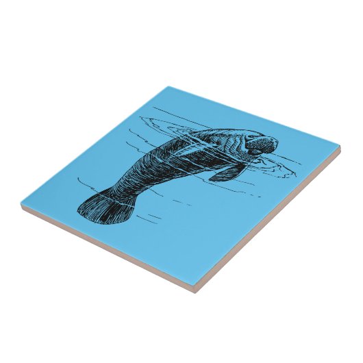 Keramische tegels, n.e.g. tegeltje (Zijkant)