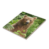 Keramische tegels van grizzly-beer tegeltje (Zijkant)