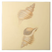 Keramische tegels zeeschelpen tegeltje (Voorkant)