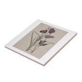 KERAMISCHE TIL : CHARLES RENNIE MACKINTOSH : 1915 TEGELTJE (Zijkant)